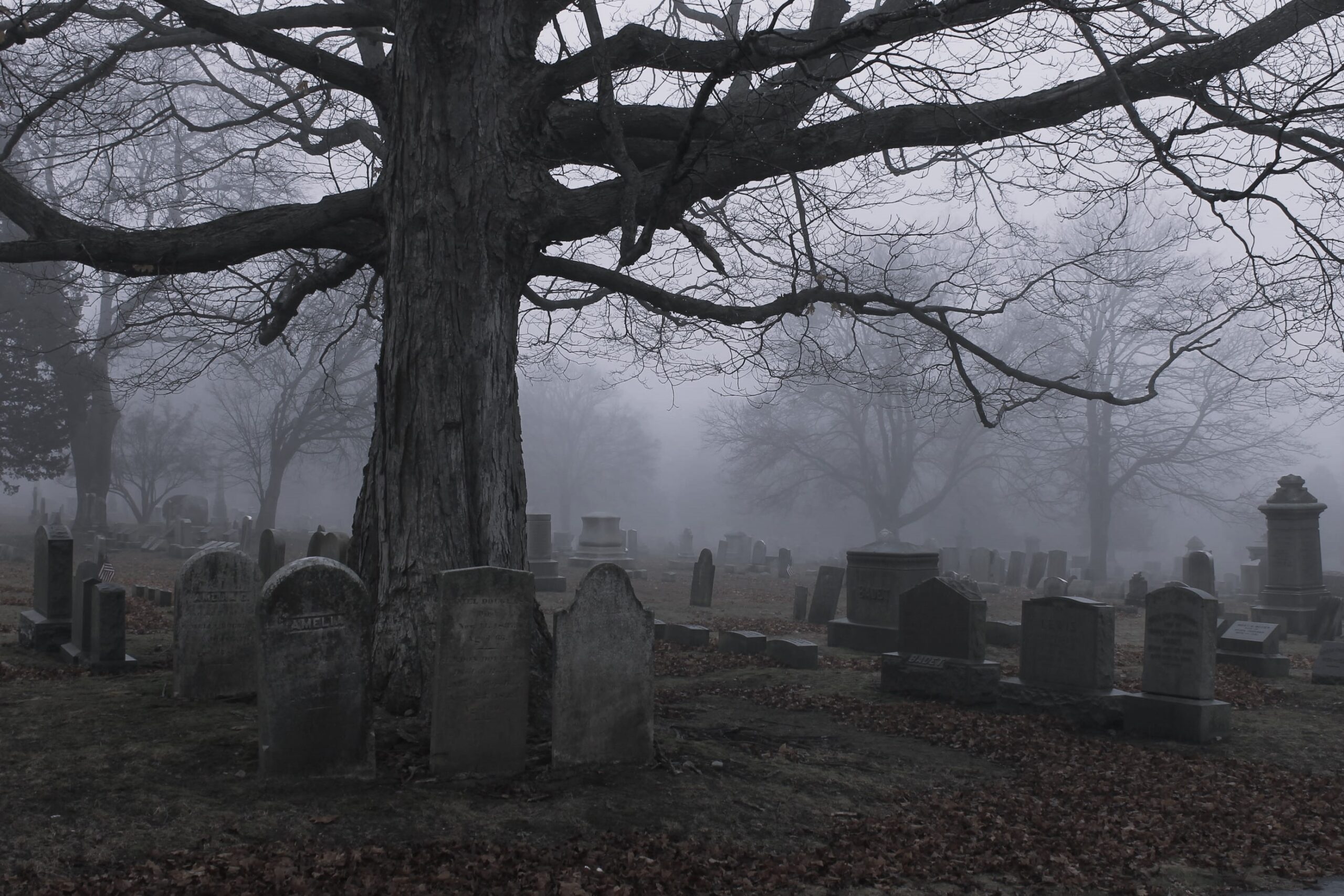 Unveiling the Veil: Exploring America's Most Haunted Cemeteries
